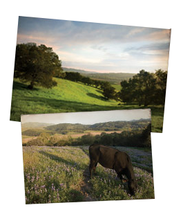 Biddle Ranch and Don Talley